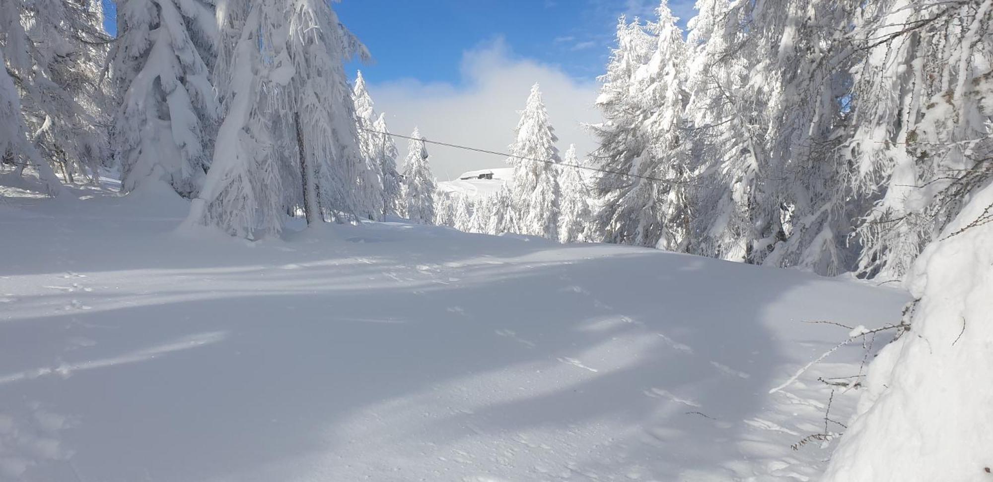Hotel Sonnenheim Bad Kleinkirchheim Extérieur photo