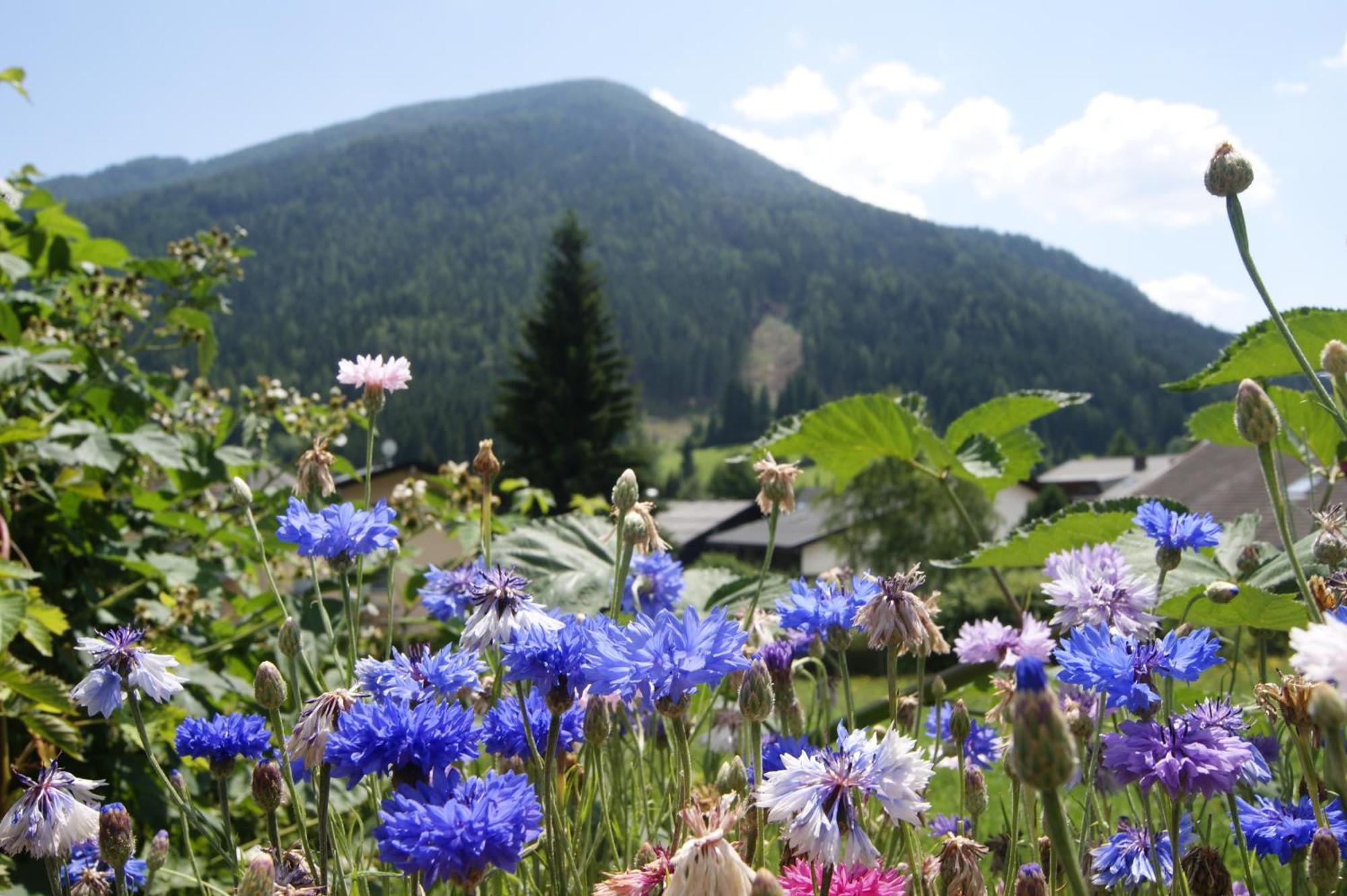 Hotel Sonnenheim Bad Kleinkirchheim Extérieur photo